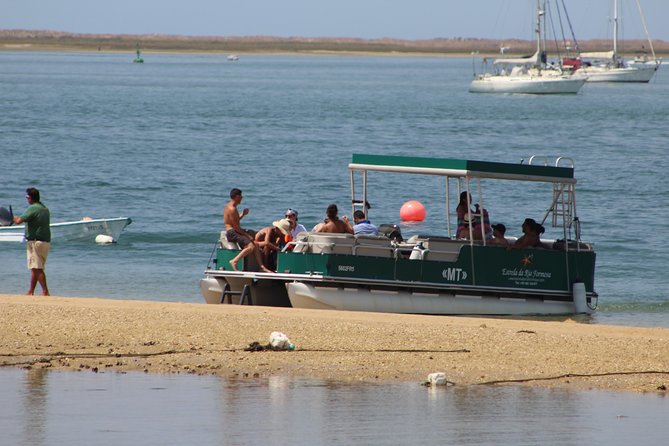 4 Stops | 3 Islands & Ria Formosa Natural Park - From Faro - Oyster beds and the working lagoon