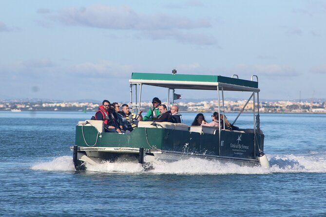 4 Stops | 3 Islands & Ria Formosa Natural Park - From Faro - Birds, tides, and what you may see