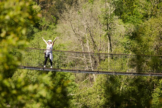 516 Arouca Bridge & Paiva Walkways Tour with Lunch from Porto - The $139.07 price and what it covers