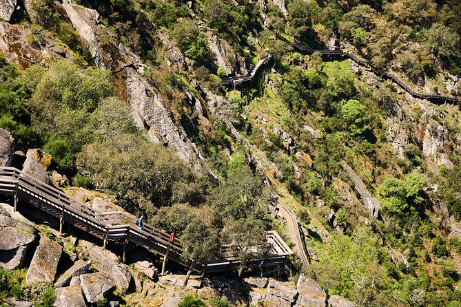 516 Arouca Bridge & Paiva Walkways Tour with Lunch from Porto - Crossing the 516 Arouca suspension bridge