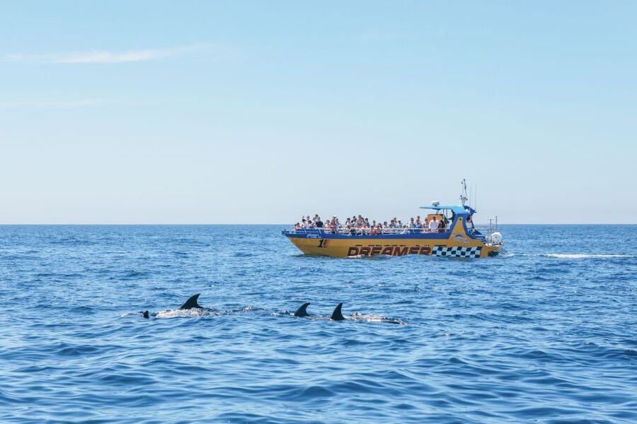Albufeira: 2.5-Hour Benagil Caves & Dolphin Watching - Yellow Submarine and the Natural Arch of Albandeira