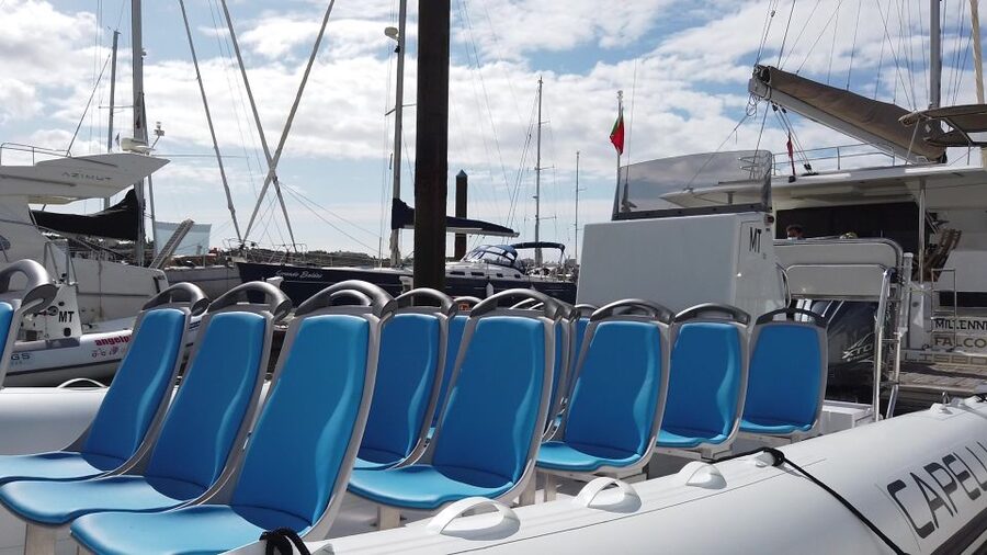 Albufeira: Benagil Cave and Dolphin Sightseeing Boat Cruise - How the $47 price works for you