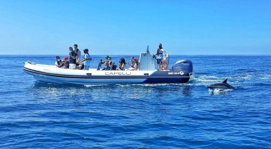 Albufeira: Benagil Cave and Dolphin Sightseeing Boat Cruise - Passing Arrifes and São Rafael