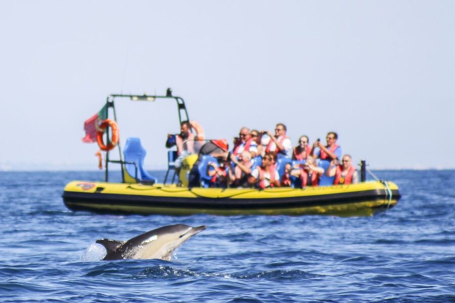 Albufeira: Benagil Caves & Dolphin Watching Speed Boat Tour - The 18-kilometer run toward Benagil