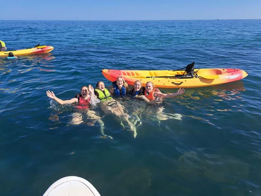 Albufeira: Caves and Cliffs Kayaking Tour - Praia do Ninho das Andorinhas and the cave route