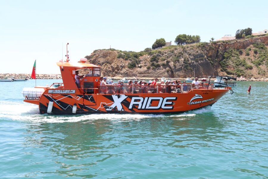 Albufeira: Dolphin Watching and Benagil Cave - Searching for Dolphins in the Algarve