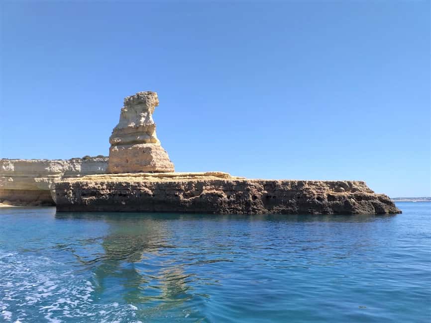 Albufeira: Dolphin Watching and Benagil Cave Boat Cruise - Is $38 a good value for 2.5 hours?