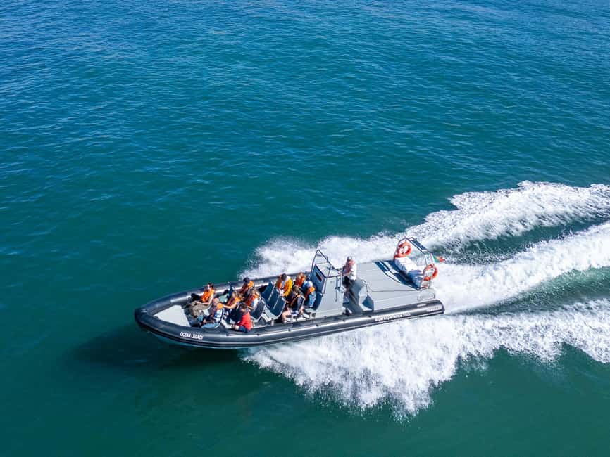 Albufeira: Dolphins, Benagil Caves and Coastline Boat Tour - Searching for common and bottlenose dolphins
