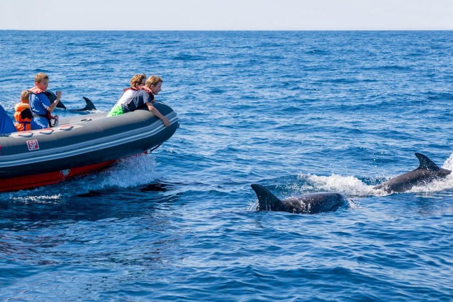 Albufeira: Dolphins, Benagil Caves and Coastline Boat Tour - What Benagil Cave can and cannot promise