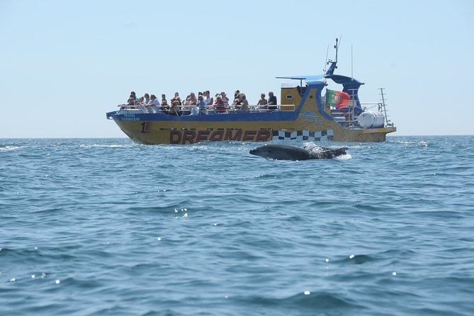 Albufeira Dreamer Boat Trip - How fast and comfortable is the boat?