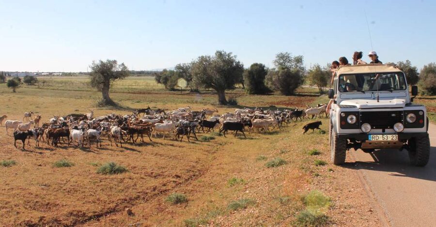 Albufeira: Jeep Safari Half-Day Countryside Tour - Leaving Albufeira for the inland Algarve