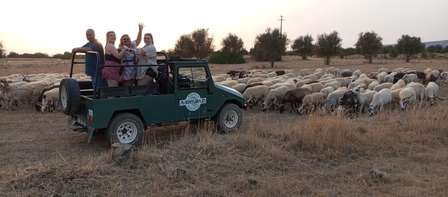 Albufeira: Jeep Safari Half-Day Countryside Tour - Paderne Castle and a look at Algarve history