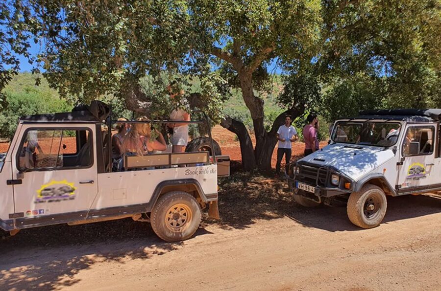 Albufeira: Safari Excursion in the Algarve Mountains - Roman water channels among the fruit plantations