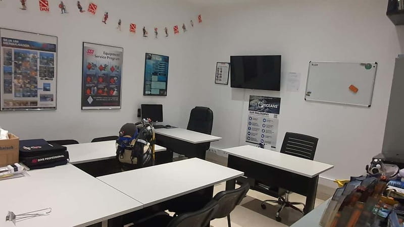 Albufeira: Scuba Diving Experience for Beginners - What the $125 price really covers