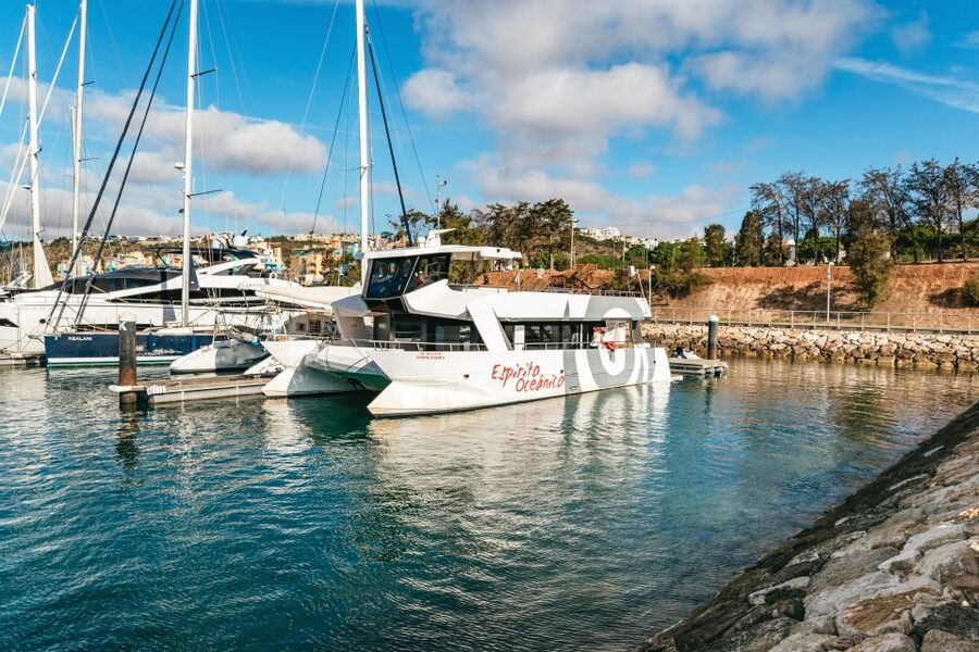 Albufeira: Sightseeing Cruise with Beach BBQ and Open Bar - How the beach open bar changes the value
