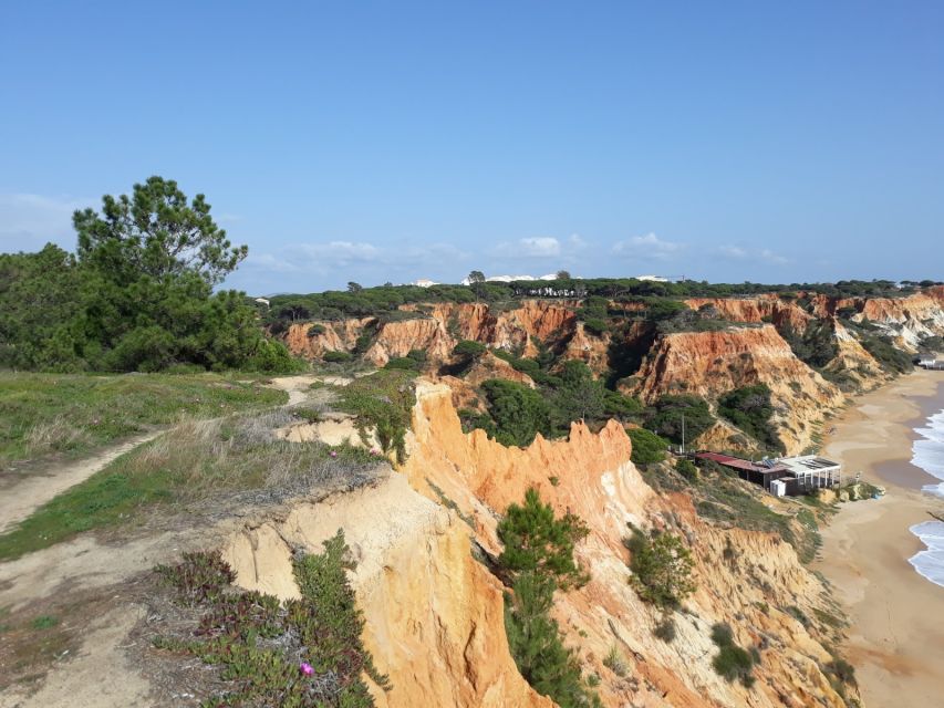 Albufeira: Tuk-tuk Sightseeing Tour - Photo stops are built into the pace