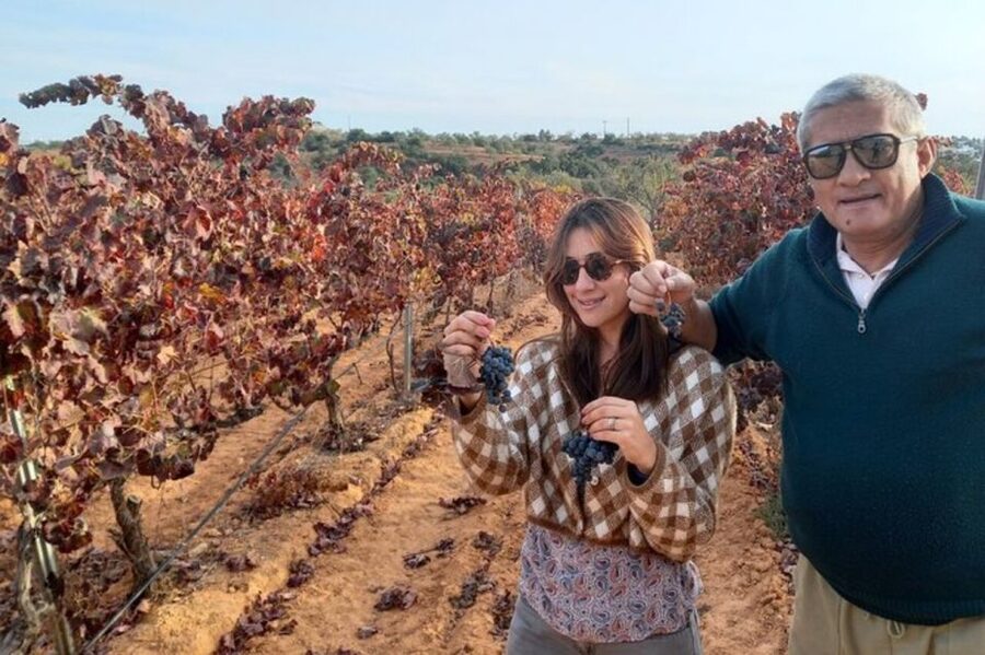 Albufeira/Vilamoura: Winery Tour with Wine Tasting and Tapas - From Albufeira streets to a local quinta