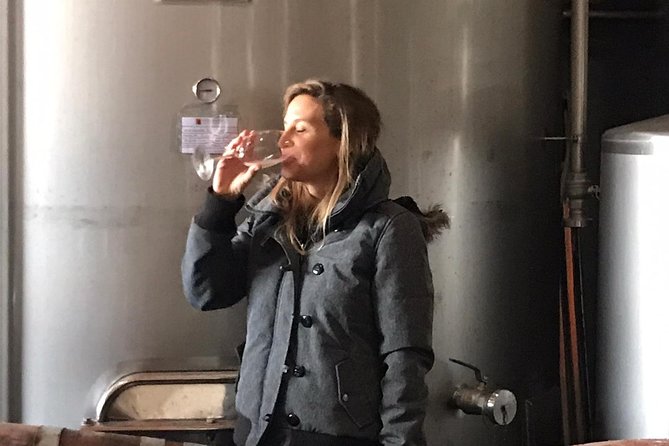 Albufeira Wine Tasting: Boutique Winery Tour & Historic Silves - Inside the working Algarve winery