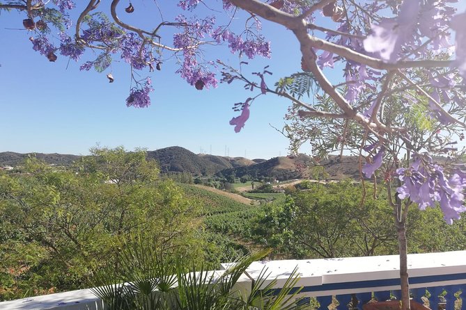 Albufeira Wine Tasting: Boutique Winery Tour & Historic Silves - Is $78.64 a fair price?