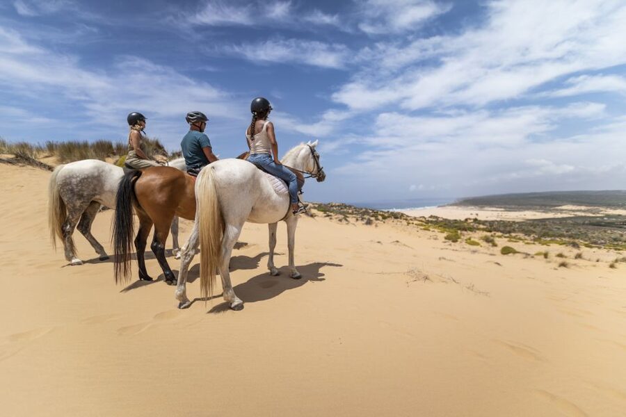 Algarve: 1-Hour Carrapateira Horseback Riding Tour - Key points to know before you book