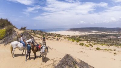 1-Hour Carrapateira Horseback Riding Tour
