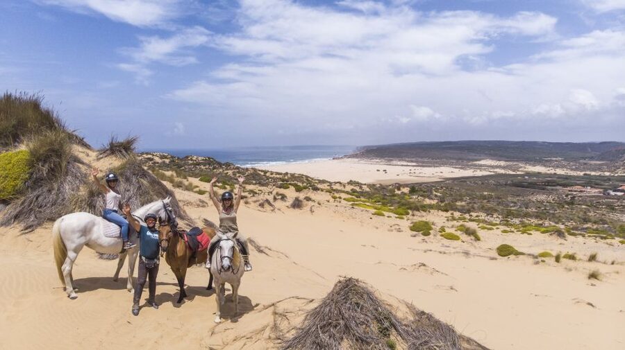 Algarve: 1-Hour Carrapateira Horseback Riding Tour - Meeting the horses before the saddle