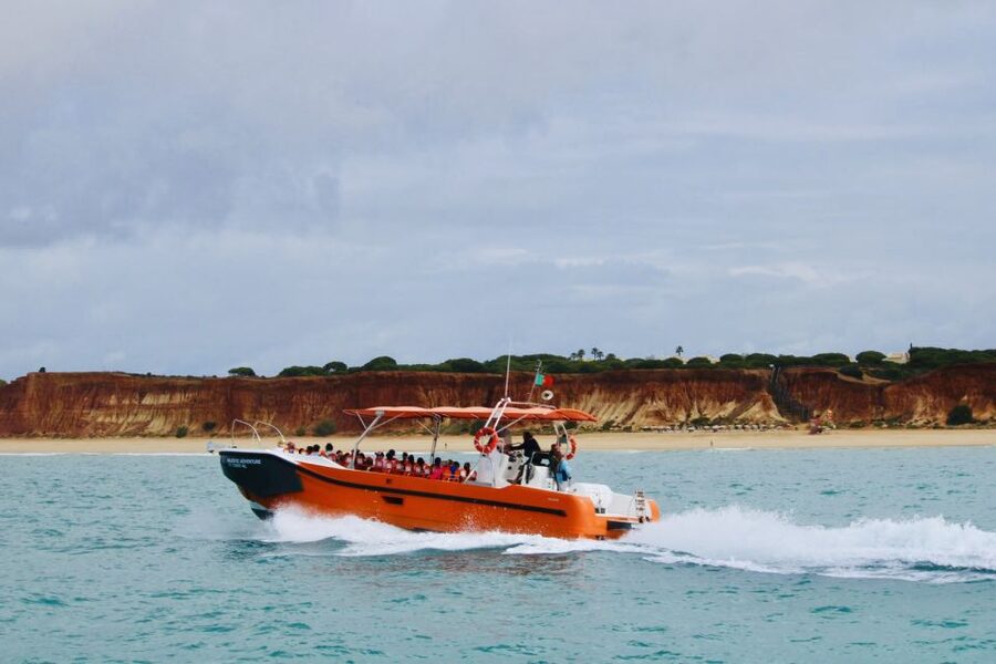 Algarve: Benagil Caves Open Speedboat Tour - The coastal cruise and dolphin search