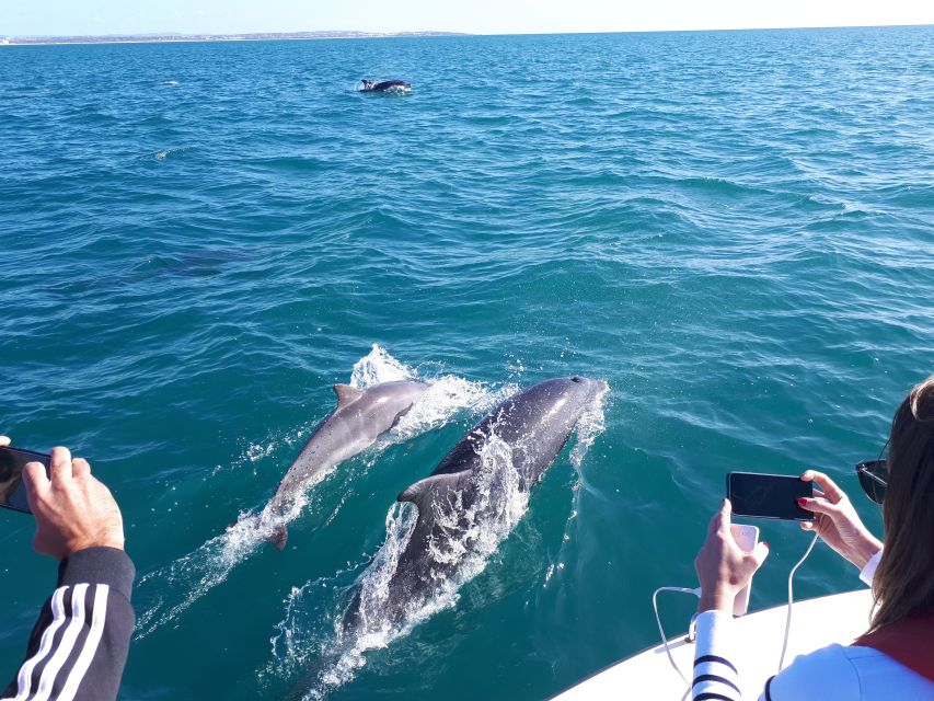 Algarve: Boat Trip to the Caves of Benagil - Why the small boat makes Benagil better