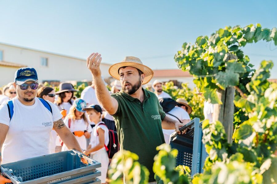 Algarve: Classic Wine Tour & Tasting in Silves - Who will enjoy this most