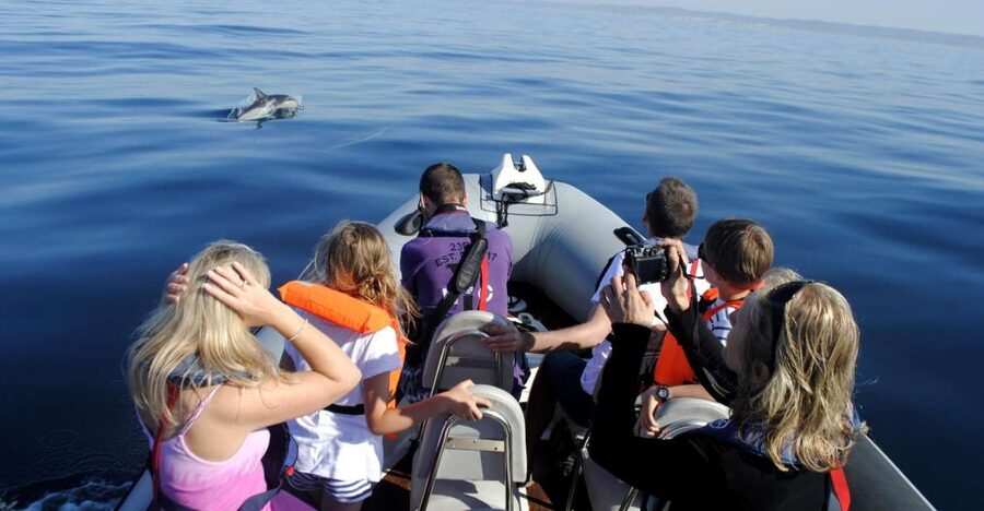 Algarve Dolphin Watching & Marine Life Eco Tour - Ria Formosa gives the trip a strong opening