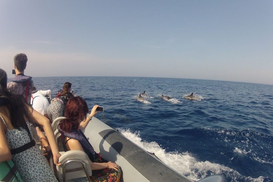 Algarve Dolphin Watching & Marine Life Eco Tour - Returning past Farol and Culatra