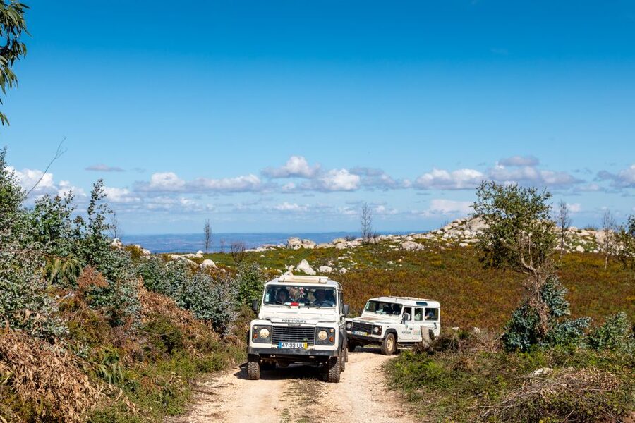 Algarve: Full-Day Guided Sightseeing Tour with Lunch - A full day from orange groves to the Atlantic edge