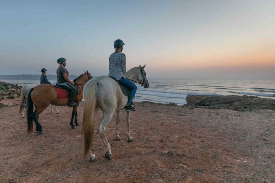 Algarve: Horse Riding Beach Tour at Sunset or Morning - Key points to know before booking