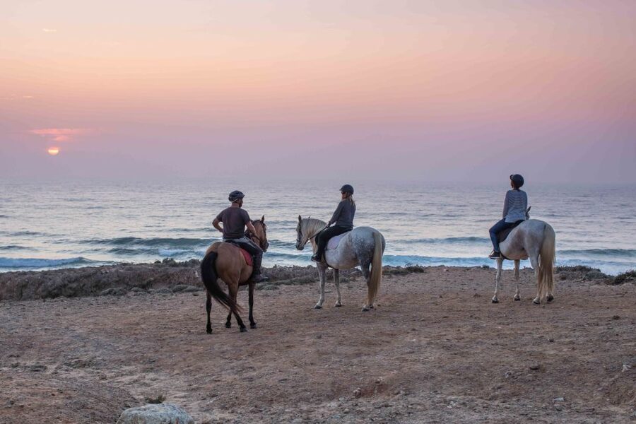 Algarve: Horse Riding Beach Tour at Sunset or Morning - The horses and the care behind the ride