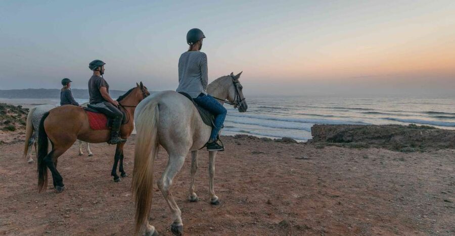 Algarve: Horse Riding Beach Tour at Sunset or Morning - The first stretch through pine forest