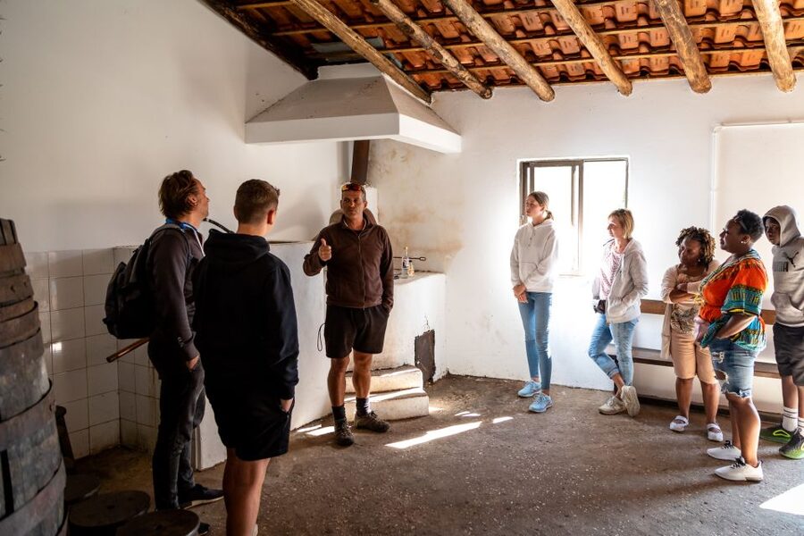 Algarve: Jeep Safari with Distillery Visit & Lunch - Lunch at a typical Portuguese restaurant