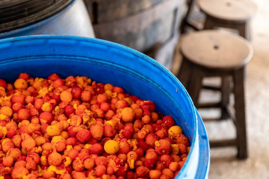 Algarve: Jeep Safari with Distillery Visit & Lunch - The guide makes or breaks this experience