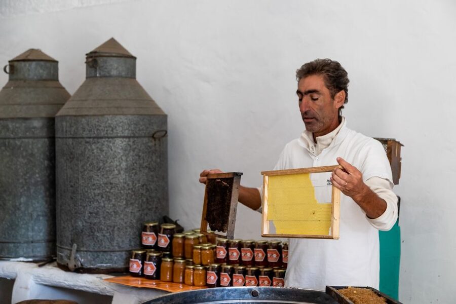 Algarve: Jeep Safari with Distillery Visit & Lunch - Is $84 good value for a 7.5-hour day?