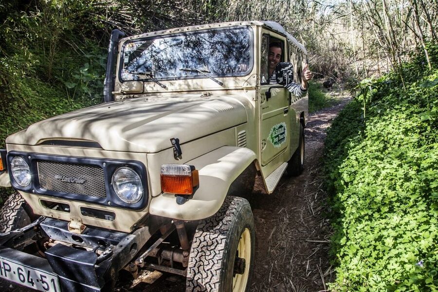 Algarve: Sunset Jeep Safari Tour - Learning the Algarve through cork, citrus, and plants