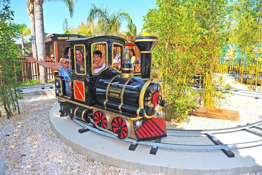 Algarve: Zoomarine Amusement Park Entry Ticket - Why Zoomarine works so well for a family day