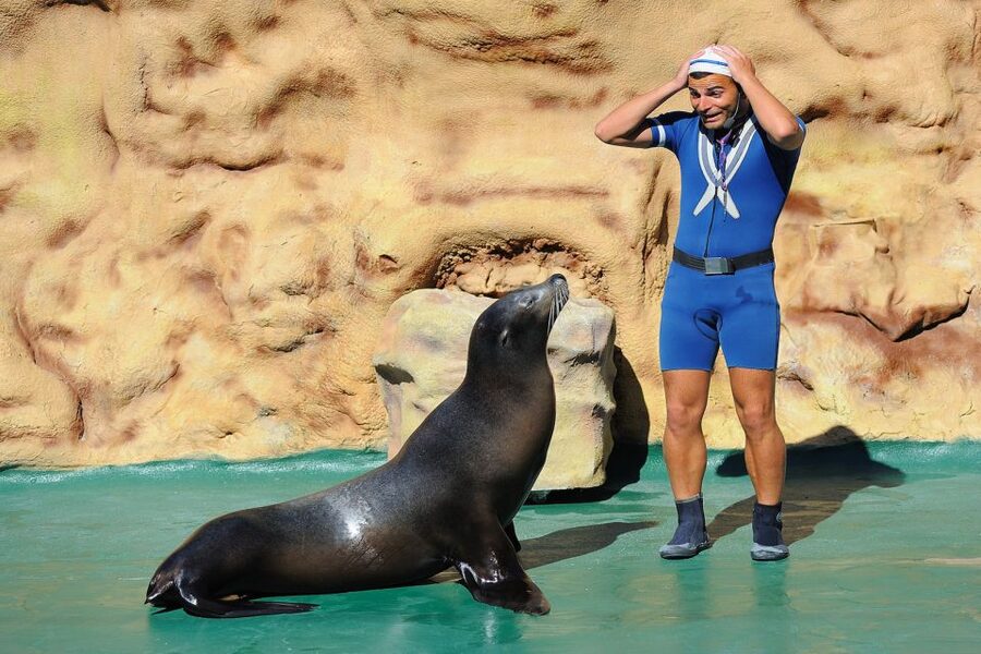 Algarve: Zoomarine Amusement Park Entry Ticket - The aquarium and its 20-plus ecosystems