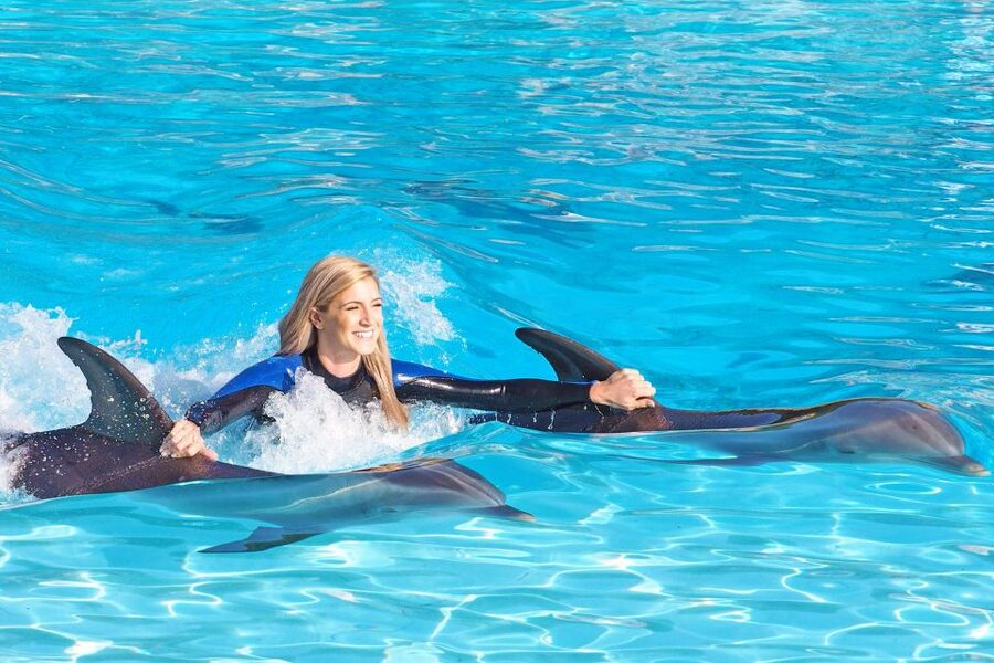 Algarve Zoomarine Ticket and Dolphin Emotions Experience - Meeting the dolphins at Algarve Zoomarine