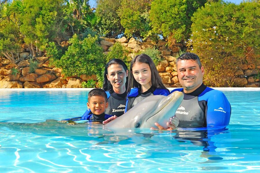 Algarve Zoomarine Ticket and Dolphin Emotions Experience - What happens during the 15-minute water session