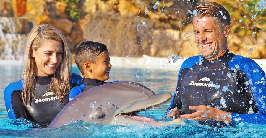 Algarve Zoomarine Ticket and Dolphin Emotions Experience - The trainers make the difference