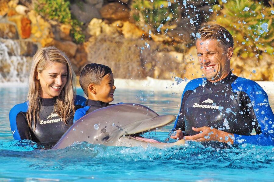 Algarve Zoomarine Ticket and Dolphin Emotions Experience - Planning your day around the scheduled session