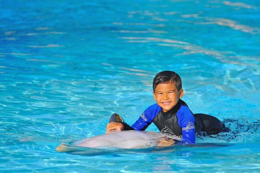 Algarve Zoomarine Ticket and Dolphin Emotions Experience - What to bring and what to leave at home