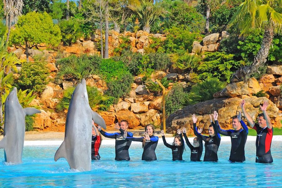Algarve Zoomarine Ticket and Dolphin Emotions Experience - What the photographs add to the memory