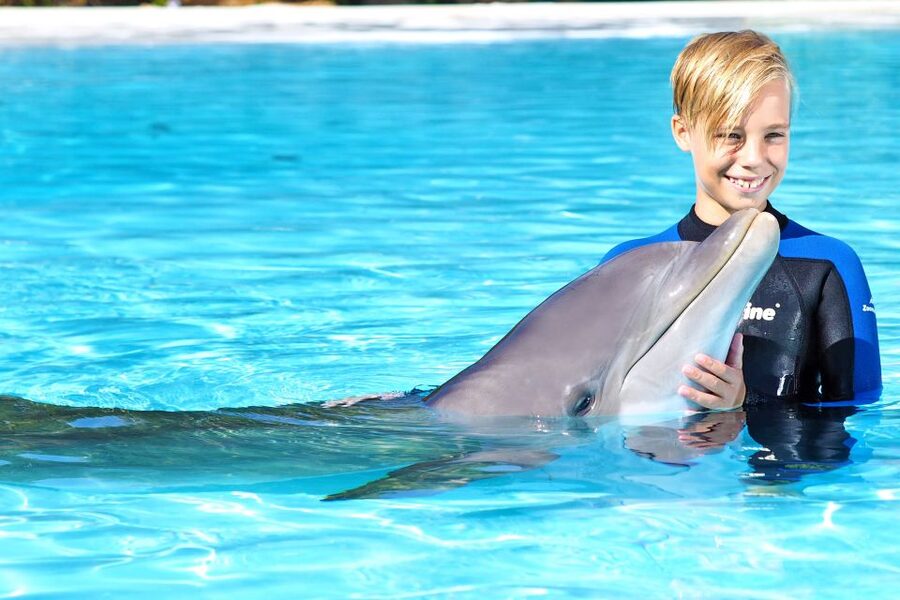 Algarve Zoomarine Ticket and Dolphin Emotions Experience - Who will enjoy this most