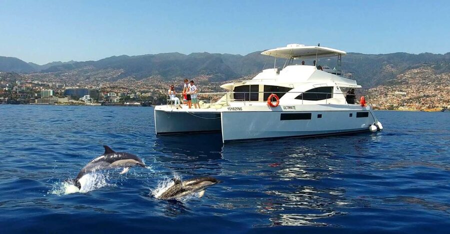 All Inclusive Whale and Dolphin Watching Luxury Tour - Setting Out From Funchal’s New Marina