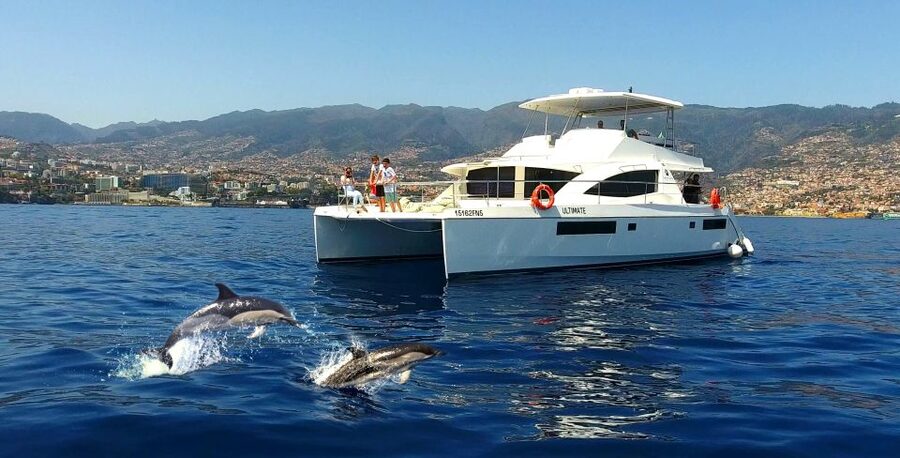 All Inclusive Whale and Dolphin Watching Luxury Tour - The First 45 Minutes: Heading Into Open Water
